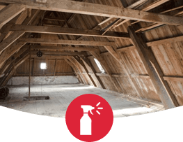 Home-Attic-Decontamination