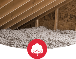 Home-Cellulose-Insulation