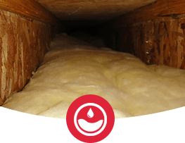 Home-Crawl-Space-Insulation